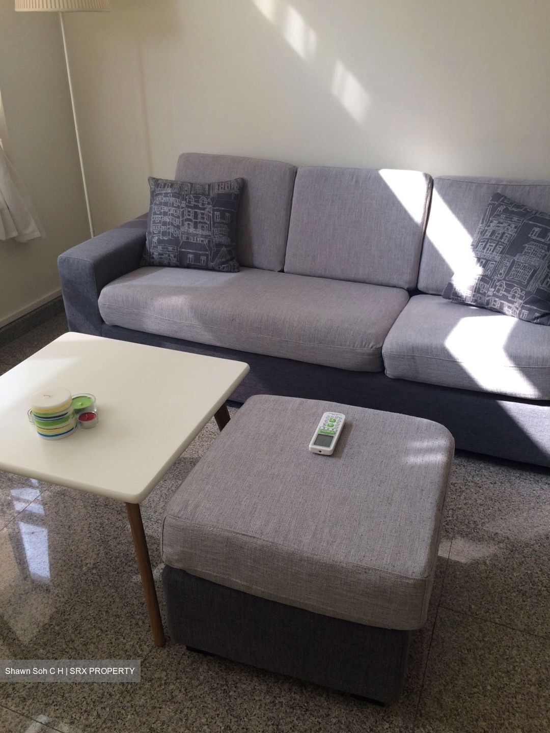 Nineteen Shelford Road (D11), Condominium #447956291
